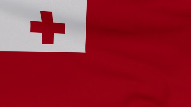 flag Tonga patriotism national freedom, seamless loop