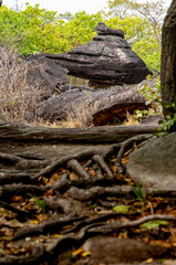 Fototapeta na wymiar stumps leading to large rocks