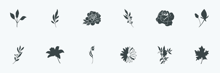 floral set of silhouettes of plants and flowers