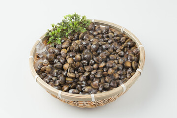 재첩.해산물.조개,날것.누끼.사람없음.실내.오브젝트.음식.음식재료