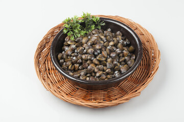 재첩.해산물.조개,날것.누끼.사람없음.실내.오브젝트.음식.음식재료