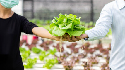 hands touching non toxic vegetables