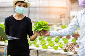 hands touching non toxic vegetables