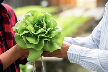 hands touching non toxic vegetables