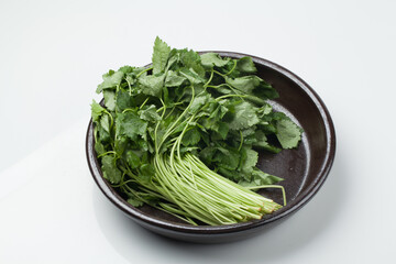 참나물,채소,초록색,건강,누끼,봄,식물,신선,요리,음식,음식재료,잎