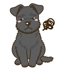 不満があるシュナウザー（黒）