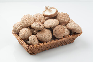 표고버섯,버섯,고해상,다수,많음,버섯,사람없음,신선,음식,음식재료