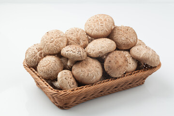 표고버섯,버섯,고해상,다수,많음,버섯,사람없음,신선,음식,음식재료