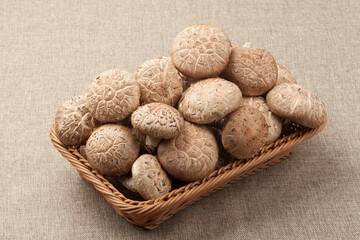 표고버섯,버섯,고해상,다수,많음,버섯,사람없음,신선,음식,음식재료