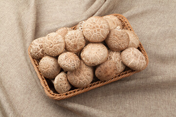 표고버섯,버섯,고해상,다수,많음,버섯,사람없음,신선,음식,음식재료