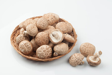 표고버섯,버섯,고해상,다수,많음,버섯,사람없음,신선,음식,음식재료