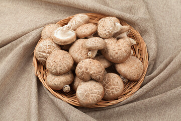 표고버섯,버섯,고해상,다수,많음,버섯,사람없음,신선,음식,음식재료