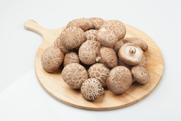 표고버섯,버섯,고해상,다수,많음,버섯,사람없음,신선,음식,음식재료