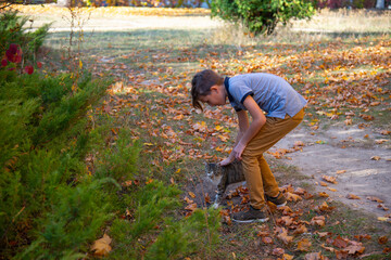 A boy stroking a homeless cat in an autumn park on a warm sunny day