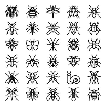 Outline icons for insects.