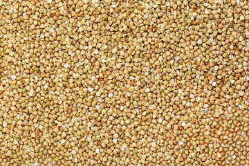 Scattered buckwheat background.  Buckwheat texture.
