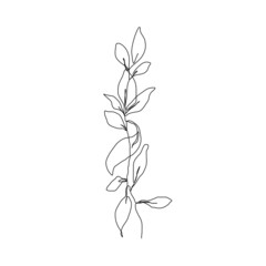Line Art Drawing of Simple Leaves Branch. Minimal Abstract Floral Modern Art Illustration. Minimal Botanical Flower One Line Drawing. Vector EPS 10