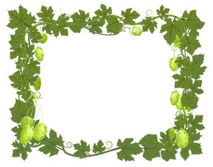 Rectangular Frame with Hops. A branch with dense leaves and cones. Sagging shoots with leaves. Wild nature. Flat style illustration with place for text. Isolated on white. Vector.