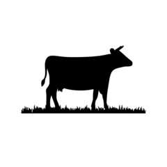 Cow for an icon or symbol isolated on white background