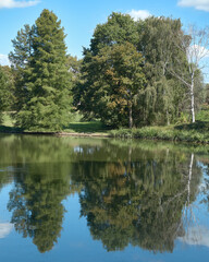 Fototapeta na wymiar Duffel Belgium reflection of trees in a lake