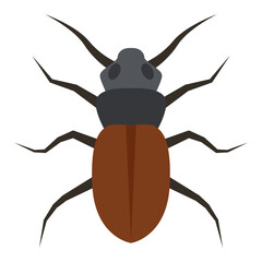 Flat color icon for beetle bug.