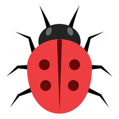 Obraz premium Flat color icon for ladybug.