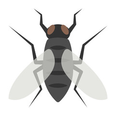 Flat color icon for fly bug.