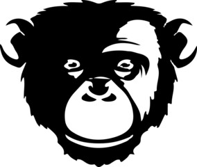 monkey vector isolated on background