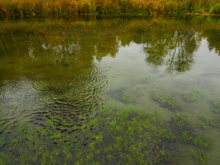 Fototapeta na wymiar Autumn color is reflected in the still water of the lake