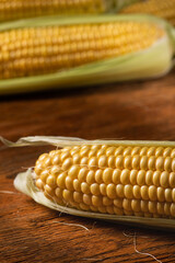 Corn cobs on a wooden old table background