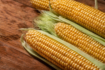Corn cobs on a wooden old table background