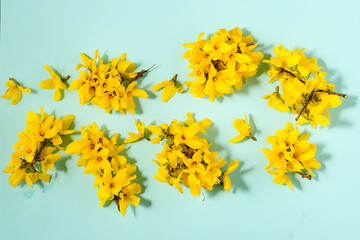 Fresh yellow flowers on light blue table