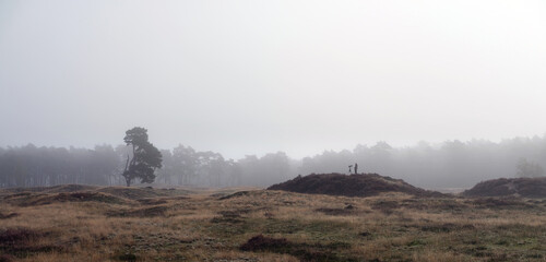man bird watching on the heath near city of utrecht in the netherlands