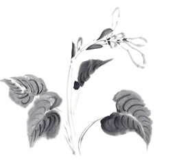 ギボウシの花　墨絵イラスト