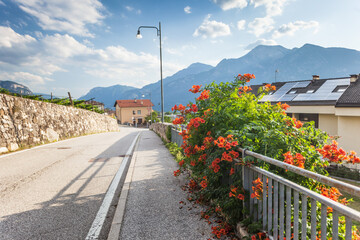 Fototapeta na wymiar Rural road in suborb of Trento, Alps on background, solar panels on a roof, flowers of Chinese trumpet vine