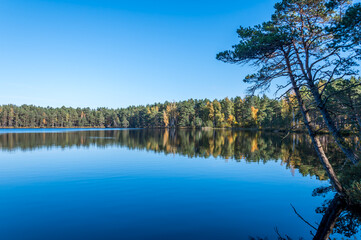 Obraz premium Autumn Foliage Reflected in a Still Lake
