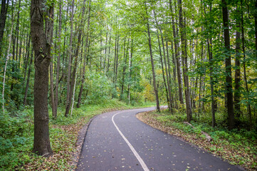 Trail in a Forest in Autumn with Fall Foliage in Latvia