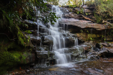 Obraz premium waterfall in the forest