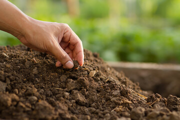 Expert farmer checking a soil after add a compost and organic manure at farm.