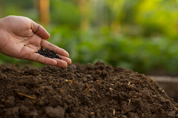 Expert farmer add a compost to soil, prepare for planting flowers fruit and vegetable with bio meathod.