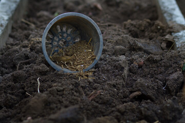 manure in a pot prepare for mix with soil at vegetable and flower garden.