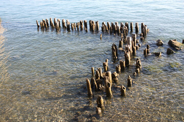 Holzpflöcke am Ufer am Bodensee