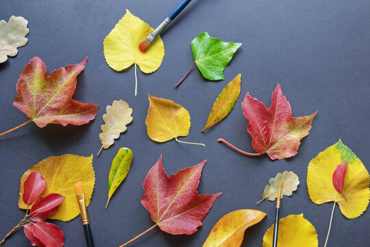  Autumn concepts. Colorful autumn leaves and painting brushes. Free space for text
