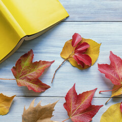 Autumn. Open book and colorful autumn leaves on rustic table. Space for text