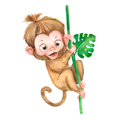 Watercolor illustration of cute little monkey, safari tropical animal, jungle animal, brown cartoon monkey 