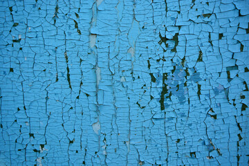 Blue cracked paint on a wooden door below you can see the green color, close-up - 461982812