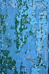 Растресканная краска голубого цвета на деревянной панели, крупный план, красивый кракелюр - 461982842