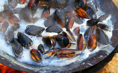 fresh mussels cooked on the fire on the seashore.