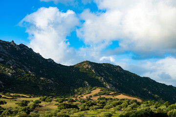 Stunning view of a valley surrounded by a granitic mountain range during a beautiful sunny day. Olbia, Sardinia, Italy.