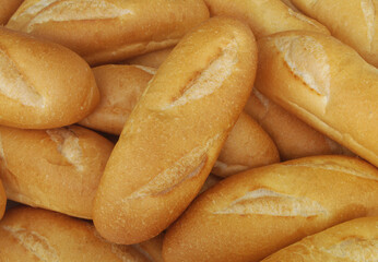 Wheat bread 